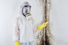 Horseheads North, NY Mold Remediation Company